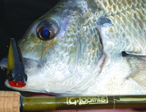 Bream make up the bulk of the catch around the shallow lake margins.